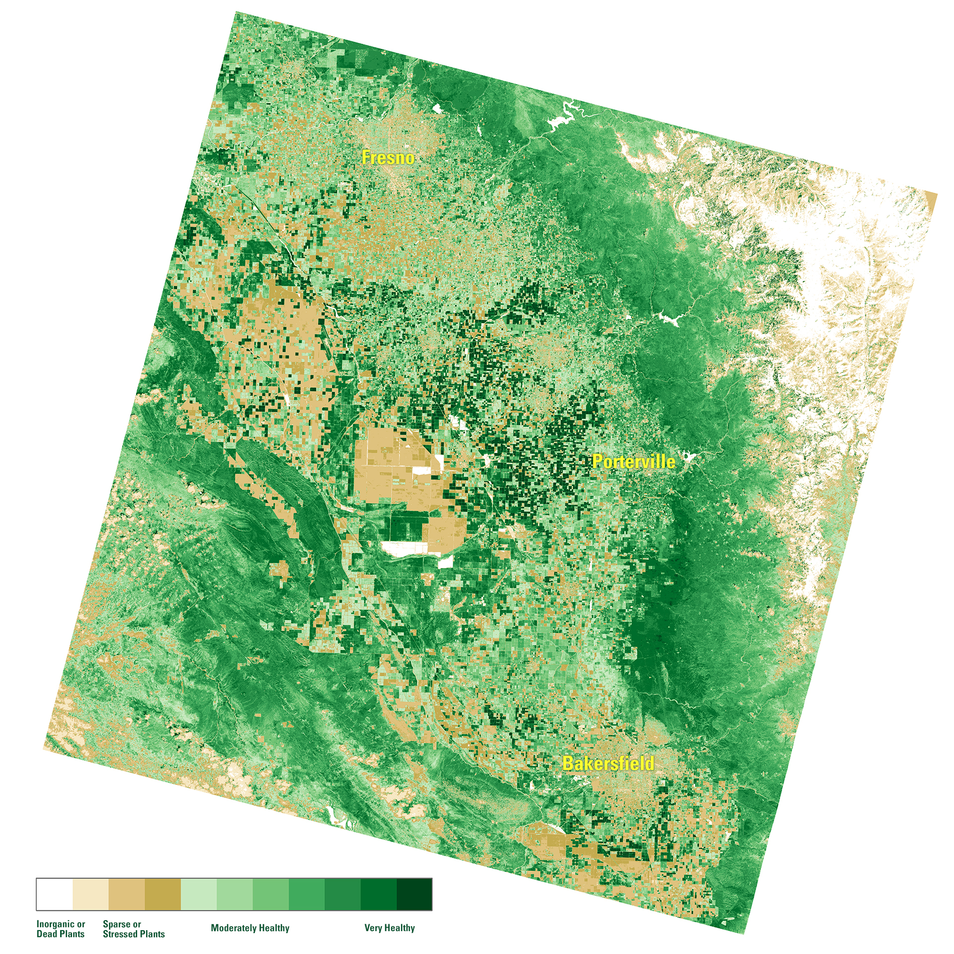 San Francisco Vegetation